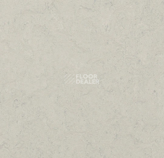 Линолеум Forbo Marmoleum Decibel 386035 silver shadow фото 1 | FLOORDEALER