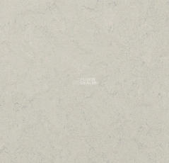 Forbo Marmoleum Decibel 386035 silver shadow фото 1 | FLOORDEALER