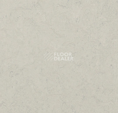 Линолеум Forbo Marmoleum Decibel 386035 silver shadow фото 1 | FLOORDEALER