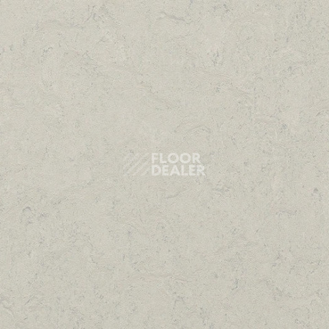 Линолеум Forbo Marmoleum Decibel 386035 silver shadow фото 1 | FLOORDEALER