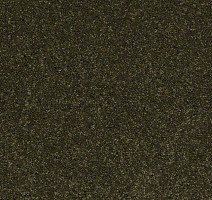 Ковролин Shaw Design Texture Platinum 323 фото 1 | FLOORDEALER