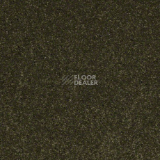 Ковролин Shaw Design Texture Platinum 323 фото 1 | FLOORDEALER