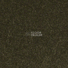 Ковролин Shaw Design Texture Platinum 323 фото 1 | FLOORDEALER