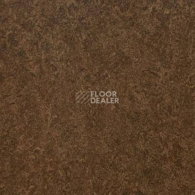 Линолеум Lg Naturelife NLE 7323 фото 1 | FLOORDEALER