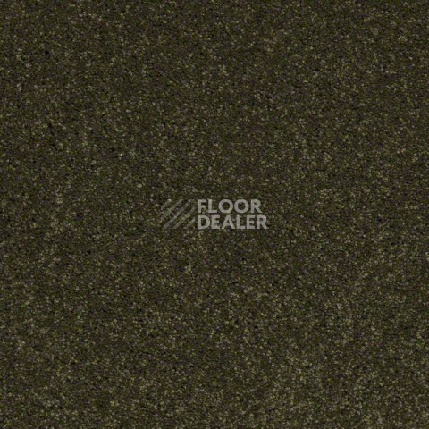 Ковролин Shaw Design Texture Platinum 323 фото 1 | FLOORDEALER