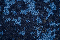 Innova Мираж q 492 06 фото 3 | FLOORDEALER