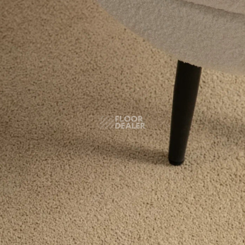 Haima Noble 41 фото 13 | FLOORDEALER