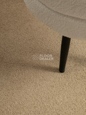 Haima Noble 41 фото 13 | FLOORDEALER