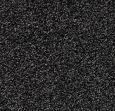 Грязезащитные покрытия Forbo Coral Luxe 2911 Diamond фото 1 | FLOORDEALER