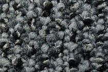 Balsan Take a Walk Rolls 940 фото 5 | FLOORDEALER