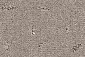 Ковролин Balsan Elite 710 фото  | FLOORDEALER