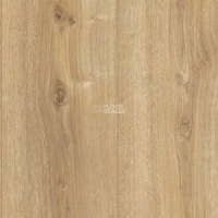 Parador Basic Plus 600 XS 1744352 Дуб Нова Холоден фото 2 | FLOORDEALER