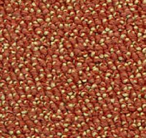 Ковролин Dura Level Two 473 фото 1 | FLOORDEALER