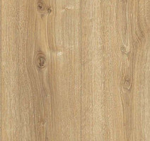 Parador Basic Plus 600 XS 1744352 Дуб Нова Холоден фото 2 | FLOORDEALER