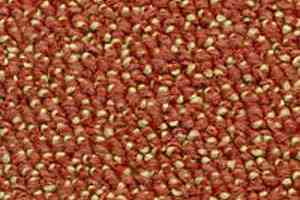 Ковролин Dura Level Two 473 фото  | FLOORDEALER