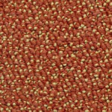 Ковролин Dura Level Two 473 фото 1 | FLOORDEALER