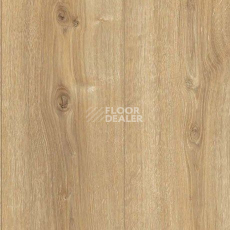 Parador Basic Plus 600 XS 1744352 Дуб Нова Холоден фото 2 | FLOORDEALER