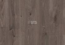 Parador Basic Plus 400 V 1593796 Дуб Копченый Белый под Маслом фото 2 | FLOORDEALER