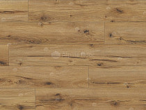 Classen Arteo 8 M 62750 Дуб Эрг фото 5 | FLOORDEALER