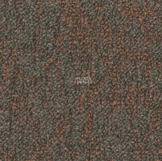 DESSO Airmaster Salina 9533 фото 1 | FLOORDEALER