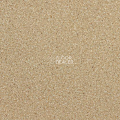 Линолеум Lg Durable DU90002 фото 1 | FLOORDEALER