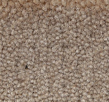 Ковролин Big Caresse 965 фото 1 | FLOORDEALER