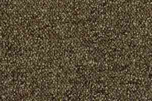 Ковровая плитка Desso Pallas 2033 фото  | FLOORDEALER