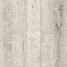 Кварцвиниловые полы Alpine Floor Premium XL Дуб серебряный ABA ECO 7-22 фото 1 | FLOORDEALER