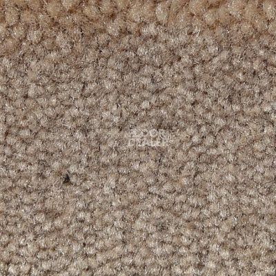 Ковролин Big Caresse 965 фото 1 | FLOORDEALER
