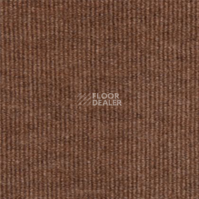 Ковролин Tapibel Ascot 3521 фото 1 | FLOORDEALER