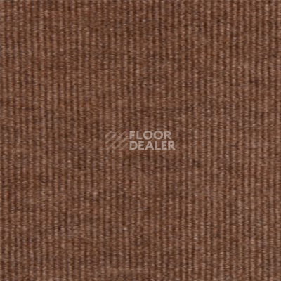 Ковролин Tapibel Ascot 3521 фото 1 | FLOORDEALER