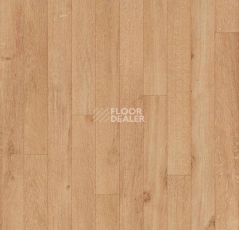 Линолеум Forbo Eternal Original 12562 light oak фото 1 | FLOORDEALER