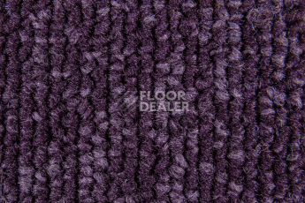 Balsan Season - Summer / Winter 880 фото 2 | FLOORDEALER