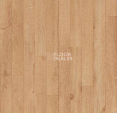 Линолеум Forbo Eternal Original 12562 light oak фото 1 | FLOORDEALER