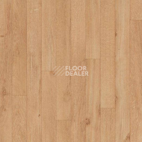 Линолеум Forbo Eternal Original 12562 light oak фото 1 | FLOORDEALER