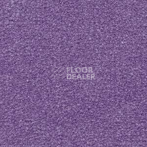 Ковролин Radici Montecarlo 88 фото 1 | FLOORDEALER