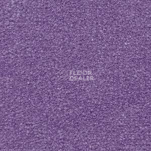 Ковролин Radici Montecarlo 88 фото 1 | FLOORDEALER