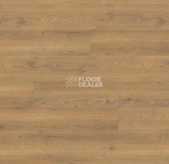 Ламинат Haro Tritty 100 Gran Via 4V Дуб Флавия Натур 544732 фото 1 | FLOORDEALER