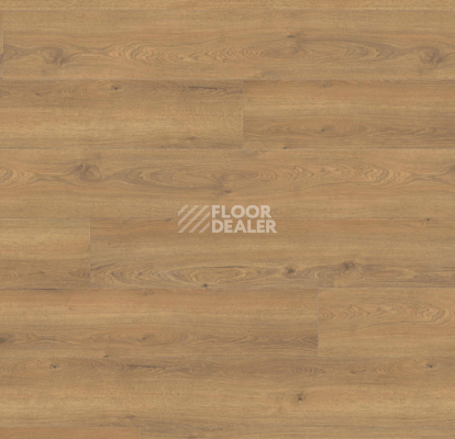 Ламинат Haro Tritty 100 Gran Via 4V Дуб Флавия Натур 544732 фото 1 | FLOORDEALER