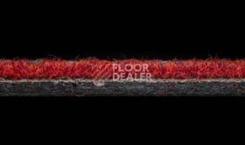Balsan Trust 570 фото 4 | FLOORDEALER