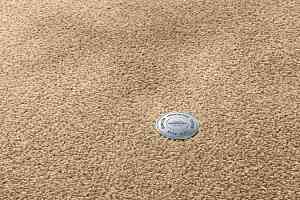 Ковролин Vorwerk Superior 1064/Lyrica Vorwerk 8k02 фото  | FLOORDEALER