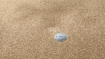 Ковролин Vorwerk Superior 1064/Lyrica Vorwerk 8k02 фото 1 | FLOORDEALER