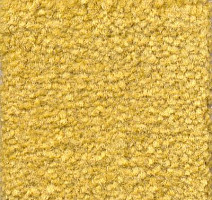 Ковролин Emphatic Beaulieu of America 56222 фото 1 | FLOORDEALER