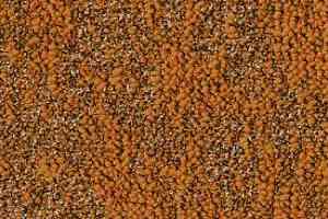 Ковровая плитка Desso Granite 5312 фото  | FLOORDEALER