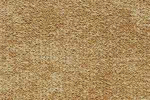 Ковролин ITC Marlene ITC Marlene  52 фото  | FLOORDEALER