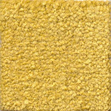 Emphatic Beaulieu of America 56222 фото 1 | FLOORDEALER