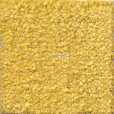 Ковролин Emphatic Beaulieu of America 56222 фото 1 | FLOORDEALER