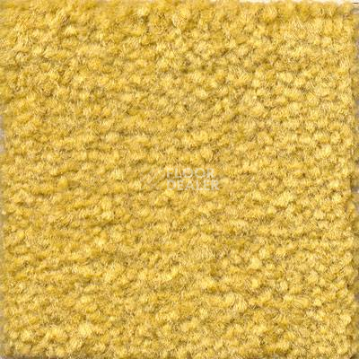 Ковролин Emphatic Beaulieu of America 56222 фото 1 | FLOORDEALER