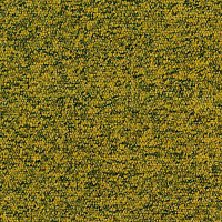 Ковровая плитка Desso Tempra 6203 фото 1 | FLOORDEALER