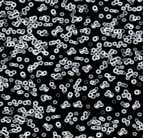 Ковролин Flotex Sottsass Bacteria 990106 фото 1 | FLOORDEALER